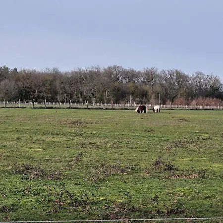 Gite A La Campagne Au Calme Soings-en-Sologne Exterior photo