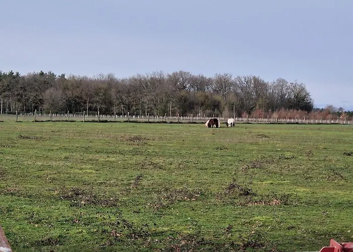 Gite A La Campagne Au Calme